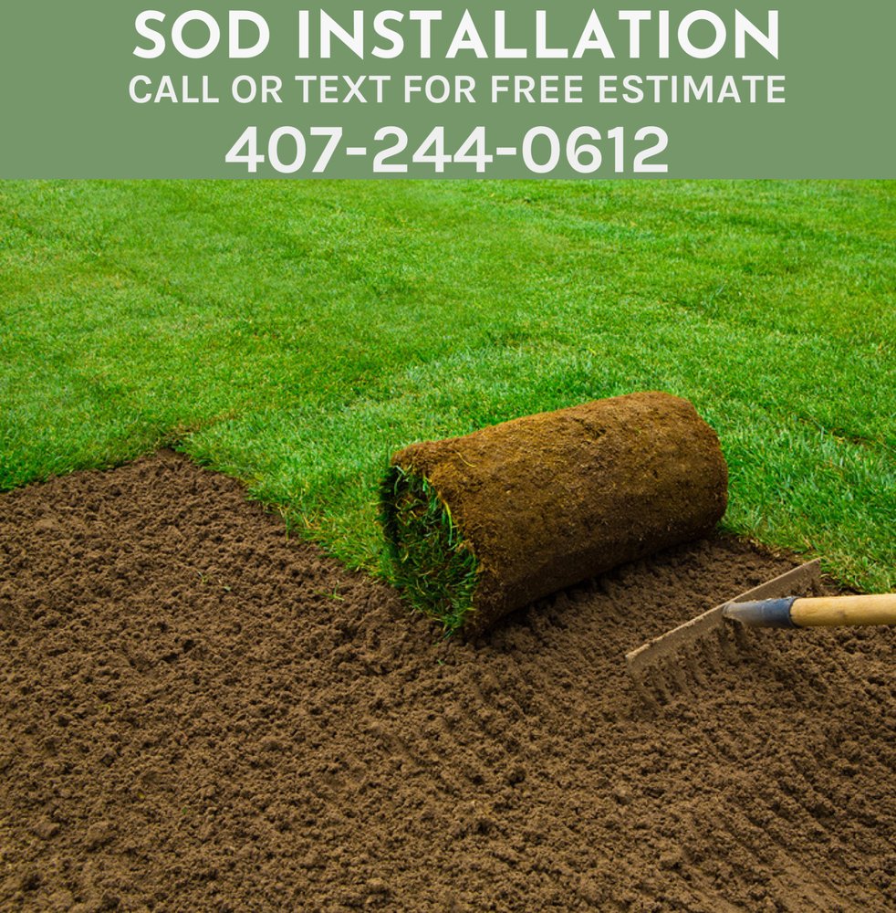 SOD INSTALLATION - Updated August 2024 - Kissimmee, Florida ...