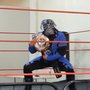 Photo of Hard knock Wrestling