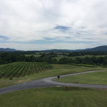 Delaplane Cellars - Views for days - Wineries Near Me - Delaplane, Virginia