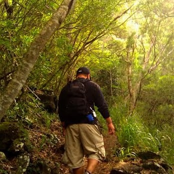 Kuliouou Ridge Trail - Photo by Eric Alcantara - Hiking Near Me - Honolulu, Hawaii Kuliouou Ridge Trail - Photo by Eric Alcantara - Hiking Near Me - Honolulu, Hawaii