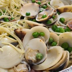 Zuppa di Clams, white