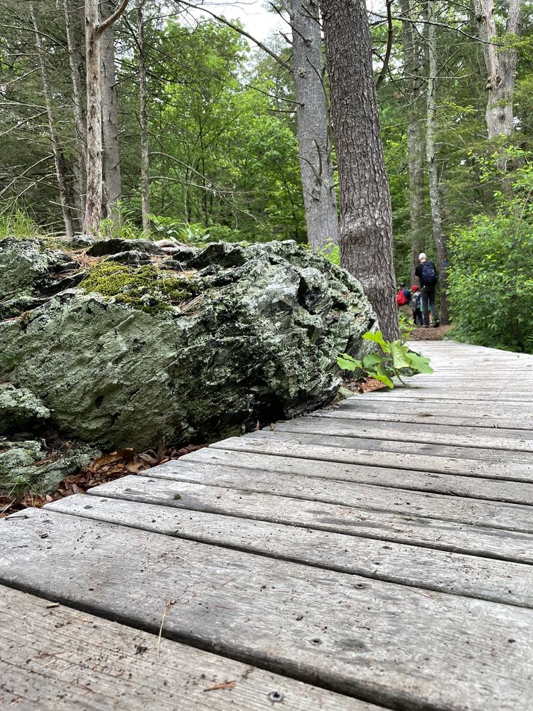 MASS AUDUBON BROADMOOR WILDLIFE SANCTUARY 57 Photos & 18 Reviews