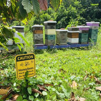 21 Degrees Estate - Bee farm - Tours Near Me - Kaneohe, Hawaii