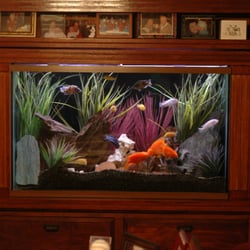 Intrinsic Reef Design