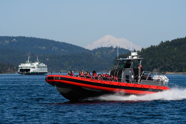 Western Prince Whale Watching Adventures by null