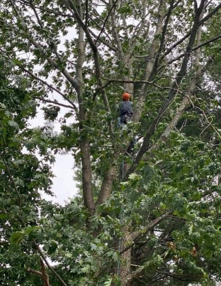 Slide of Jamie VanEtten