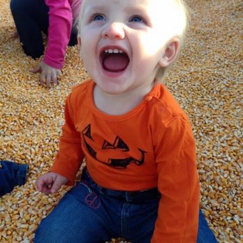 Farm Life - Pumpkin Patches Near Me - Lanesville, Indiana Farm Life - Pumpkin Patches Near Me - Lanesville, Indiana