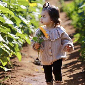 Rancho Bernardo Pumpkin Farm - Sunflower fields - Pumpkin Patches Near Me - San Diego, California Rancho Bernardo Pumpkin Farm - Sunflower fields - Pumpkin Patches Near Me - San Diego, California