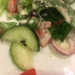 Side salad with side of bug.