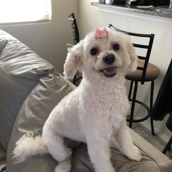 PetSmart - Pet Stores Near Me - Albuquerque, New Mexico