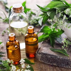 Present Moment Books & Herbs