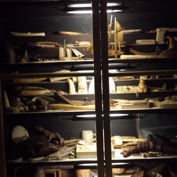 Pardee Home Museum - One of the many collections there. - Museums Near Me - Oakland, California