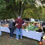 Photo of Bozrah Farmers Market