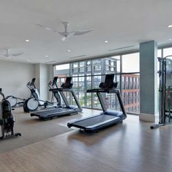 Hampton Inn & Suites Nashville Downtown Capitol View - Health club  fitness center  gym