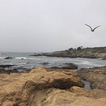 Bean Hollow State Beach - Calmness and peacefulness. - Beaches Near Me - Pescadero, California