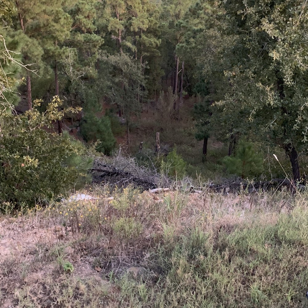Bastrop State Park - Nature - Parks Near Me - Bastrop, Texas