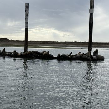 Estero Adventures - Boating Near Me - Morro Bay, California Estero Adventures - Boating Near Me - Morro Bay, California