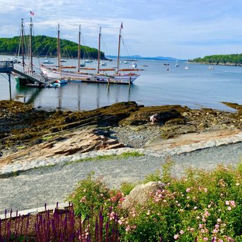 Bar Harbor / Oceanside KOA - Schooner tour was a delight and dined at the exemplary Terrace Grill afterwards. - Campgrounds Near Me - Bar Harbor, Maine