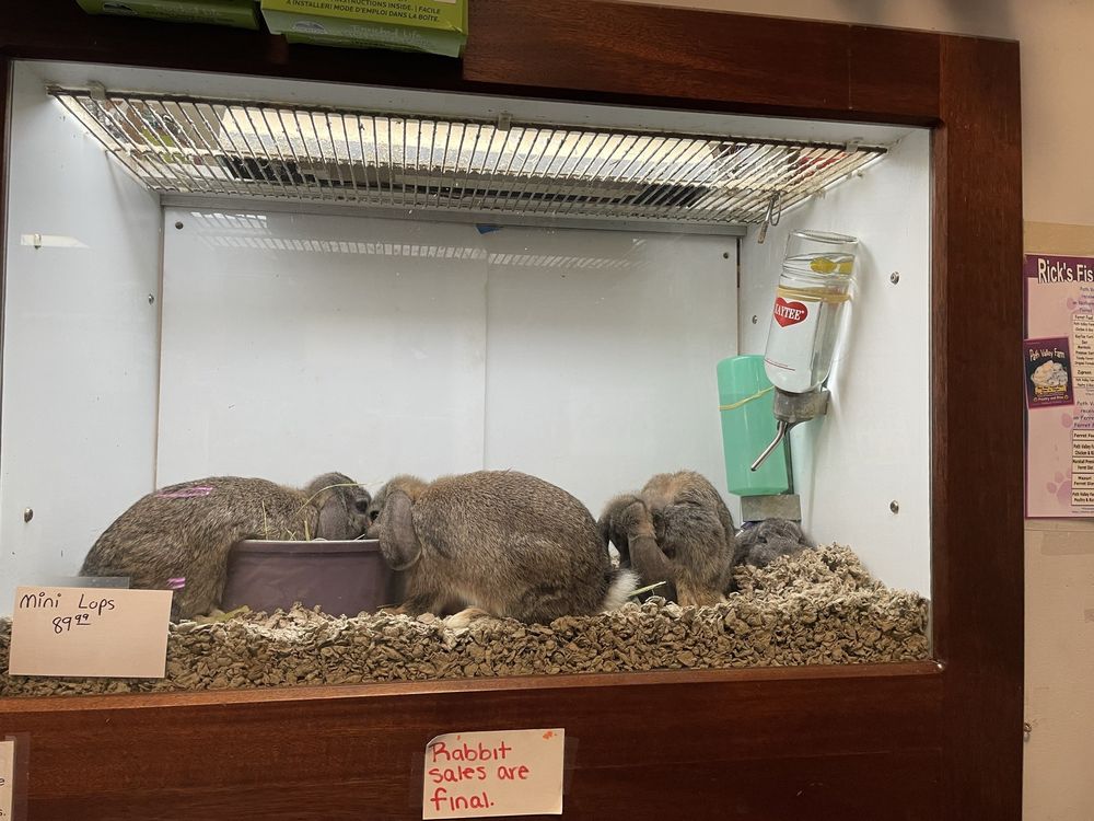 Rick's Fish & Pet Supply - reptile breeding in Frederick, MD
