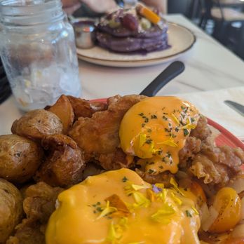 The Hangout - Fried chicken benedict - Breakfast & Brunch Near Me - Walnut Creek, California The Hangout - Fried chicken benedict - Breakfast & Brunch Near Me - Walnut Creek, California