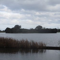 Albert Park - Lake