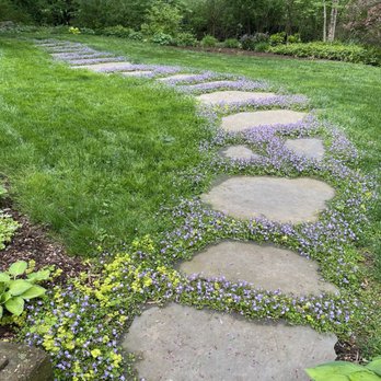 Five Senses Garden Design - Path that Nate installed -beautiful in bloom! - Landscape Architects or Designers Near Me