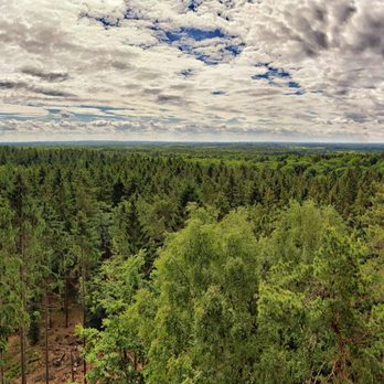 Hahnheider Turm - Fernsicht  (06/2020) - Landmarks & Historical Buildings Near Me - Trittau, SH