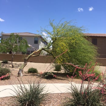 A'N'D Landscaping - LOST YOUR TREE AND NEED HELP TO REMOVE IT ? CALL US ANYTIME AT 480-294-3492 - Gardeners Near Me A'N'D Landscaping - LOST YOUR TREE AND NEED HELP TO REMOVE IT ? CALL US ANYTIME AT 480-294-3492 - Gardeners Near Me