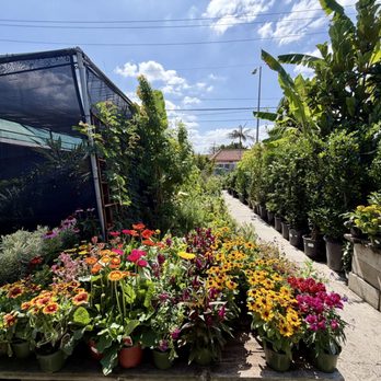 Sunset Nursery - Nurseries & Gardening Near Me - Los Angeles, California Sunset Nursery - Nurseries & Gardening Near Me - Los Angeles, California