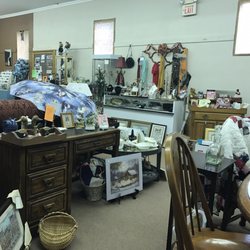 Fido's Finds and Kittie's Kollectibles