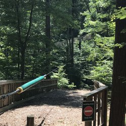 Zipline Kingdom