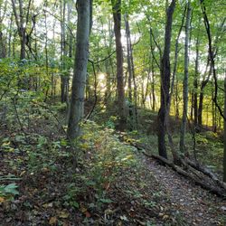Pleasant Valley Park