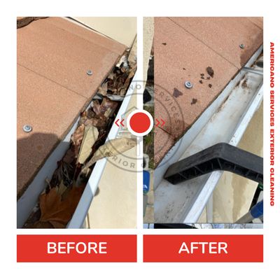 Americano Services Exterior Cleaning