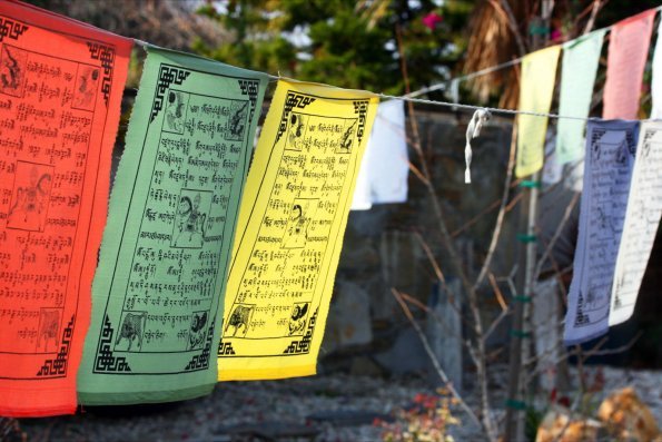 Land of Compassion Buddha by null