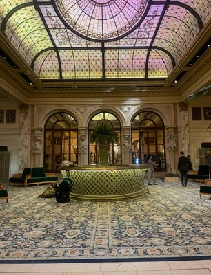 Shara J Cohen Design