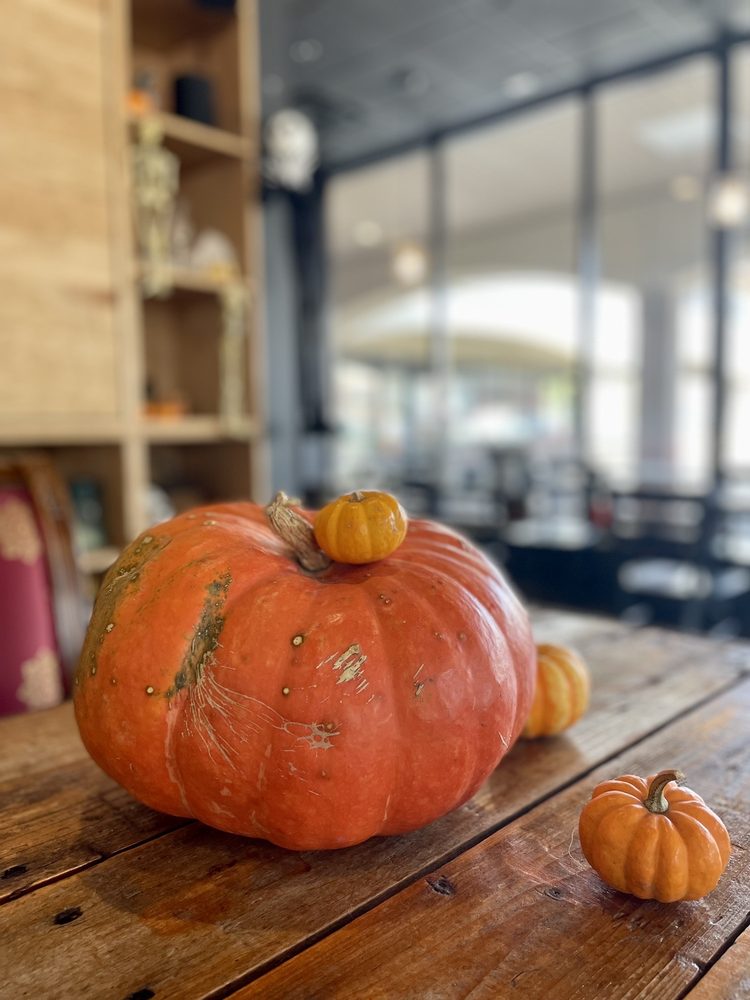 MAKWA COFFEE Updated August 2024 57 Photos & 35 Reviews 2805