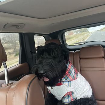 PetSmart - Salvatore wymbs - Pet Training Near Me - Athens, Georgia