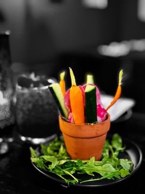 Wizards & Wands by null