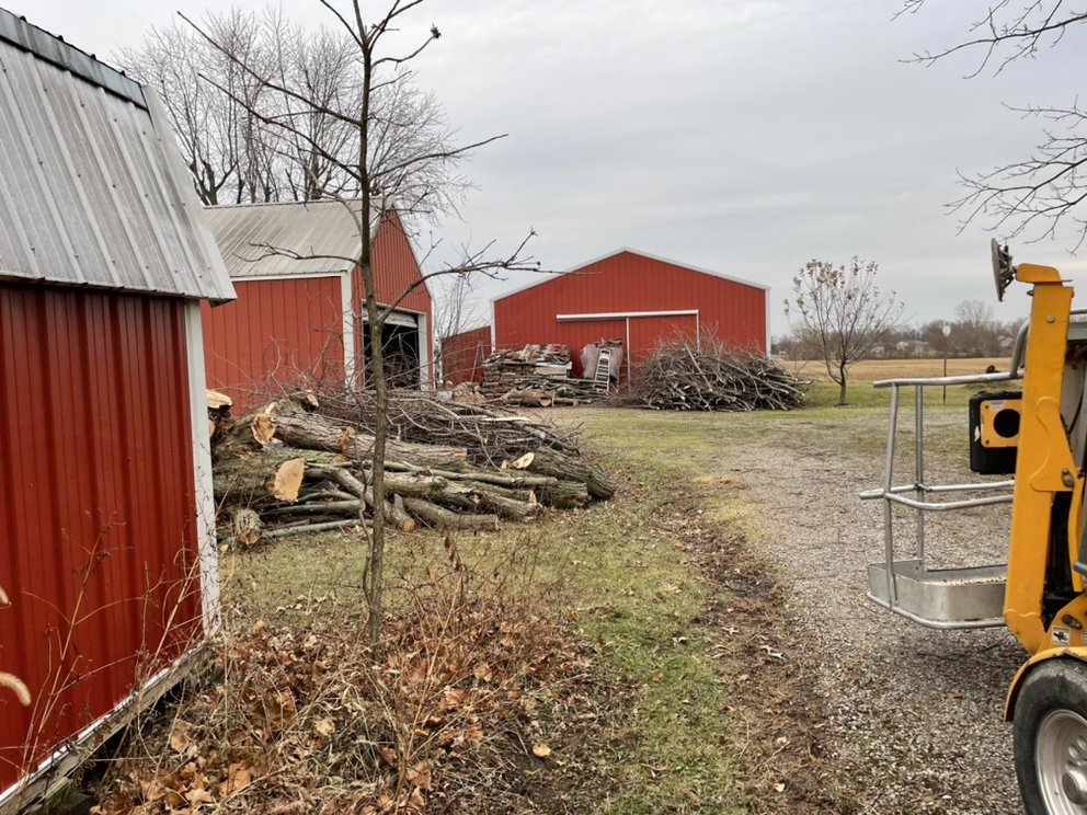 Northwoods Tree Service - tree service in Fort Wayne, IN