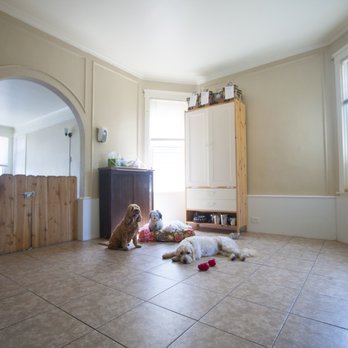 Dogaholics - 2nd Floor space where dog's play and stay in spacious crates overnight for boarding. - Pet Groomers Near Me - Chicago, Illinois Dogaholics - 2nd Floor space where dog's play and stay in spacious crates overnight for boarding. - Pet Groomers Near Me - Chicago, Illinois