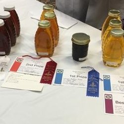 Sleeping Beezzz Honey - Double 2016 State Champion for Best Tasting Georgia Honey