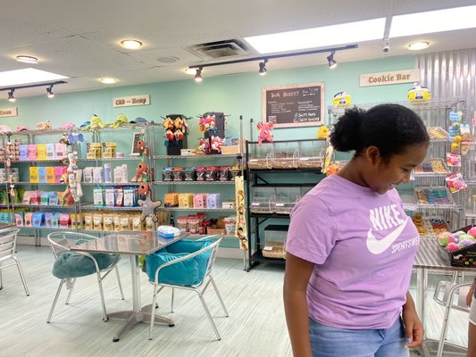 Salty Paws Doggy Ice Cream Bar And Bakery by null