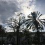 Photo of Jardín de Europa