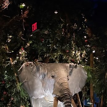 Rainforest Cafe - Elephant - American Near Me - Ontario, California Rainforest Cafe - Elephant - American Near Me - Ontario, California