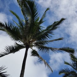Fuji Beach Aka Baby Beach
