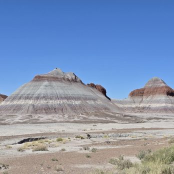 Petrified Forest National Park - Parks Near Me - Petrified Forest, Arizona