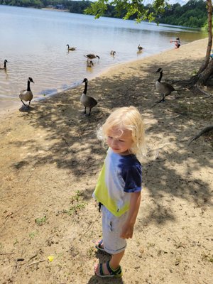 Parsnip Lake House by null