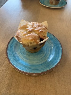 Blue Owl Coffee by null