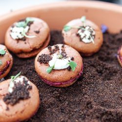Well Oiled Events - Beet and goat cheese macaron