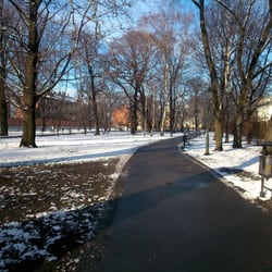 Park Strzelecki